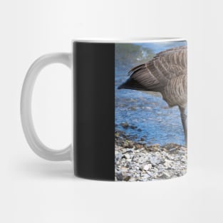 Canada Goose and Its Gosling Along The Shore Mug